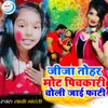 About Jija Tohar Mot Pichakari Choli Jai Fati Song